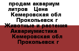 продам аквариум 110 литров › Цена ­ 3 500 - Кемеровская обл., Прокопьевск г. Животные и растения » Аквариумистика   . Кемеровская обл.,Прокопьевск г.